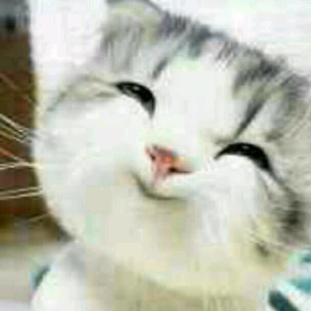 顺其自然