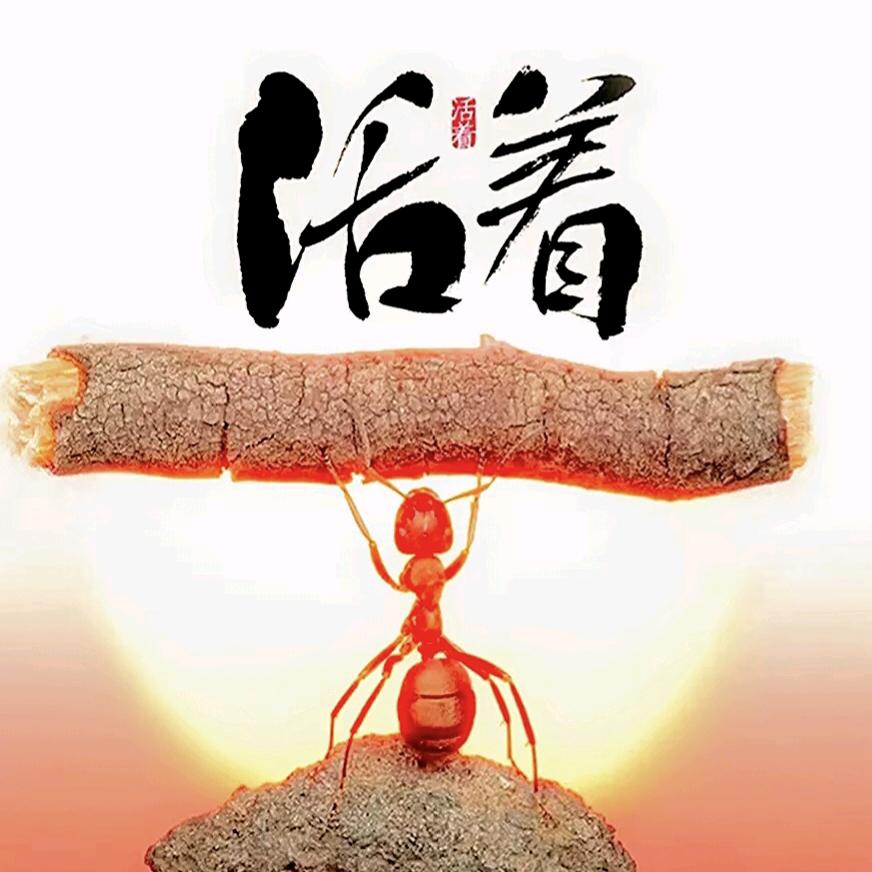 心之所及皆是你