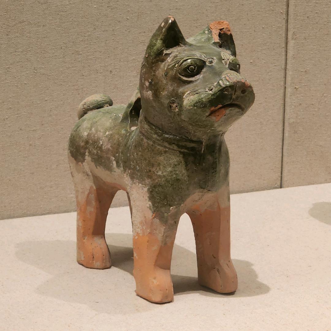 杨大锤