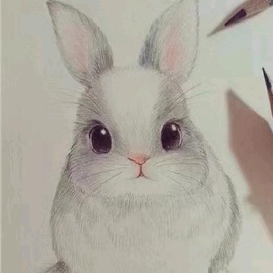 采文