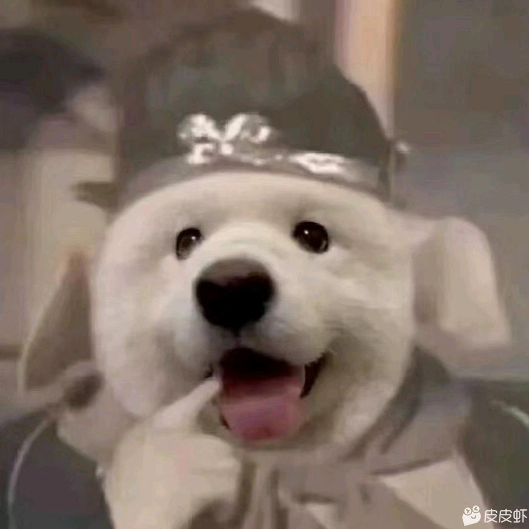 鼻涕熊う