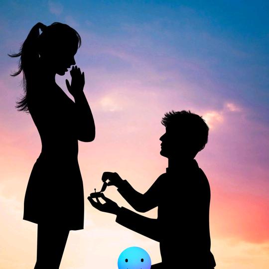 🌜🐉凤凰🐉🌛