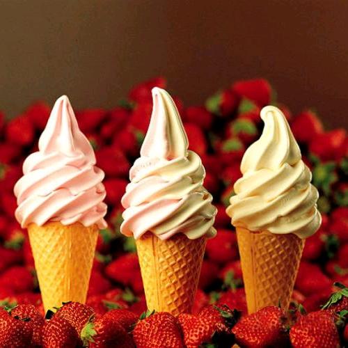 亮哥奶茶原料批发