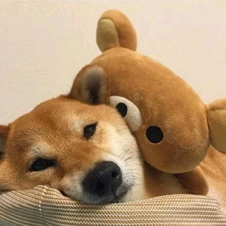 桃夭