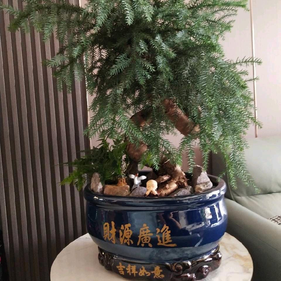 不知道1