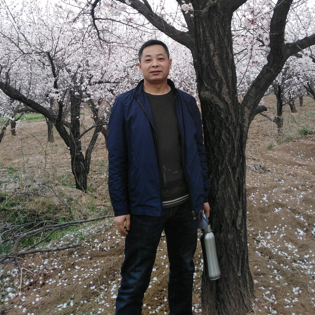 武龙书画院