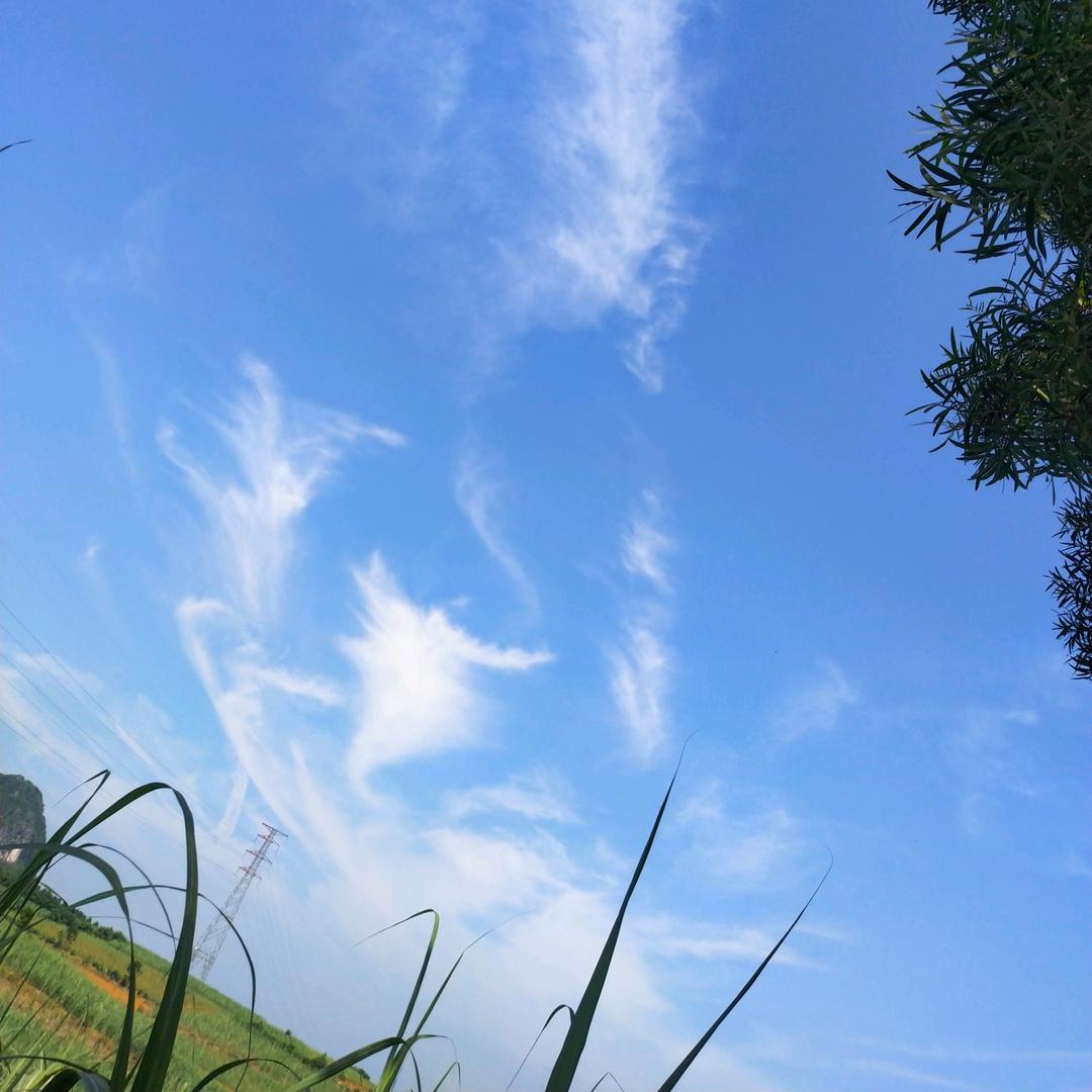 清风细雨