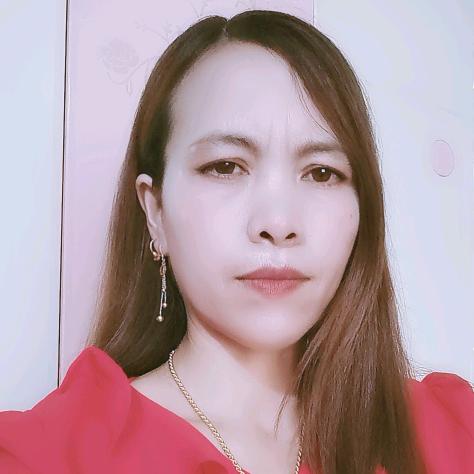 杨玫瑰