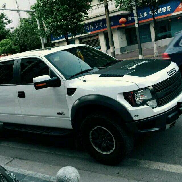 懒杨杨