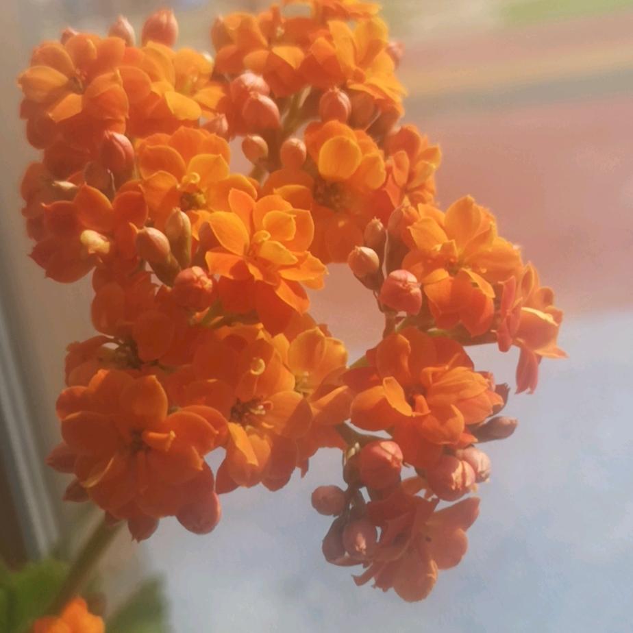 我是平静