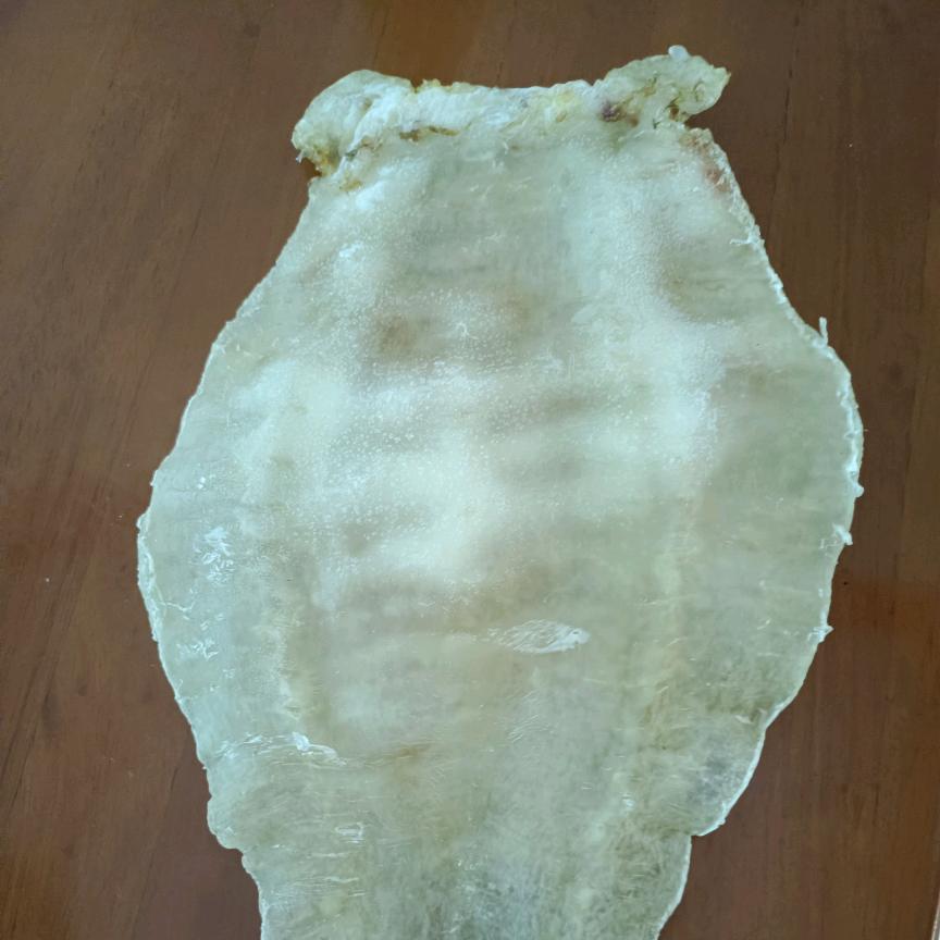 正宗野生大米鱼胶