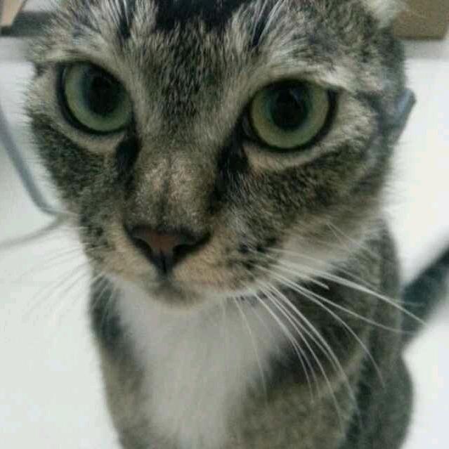 小累同学