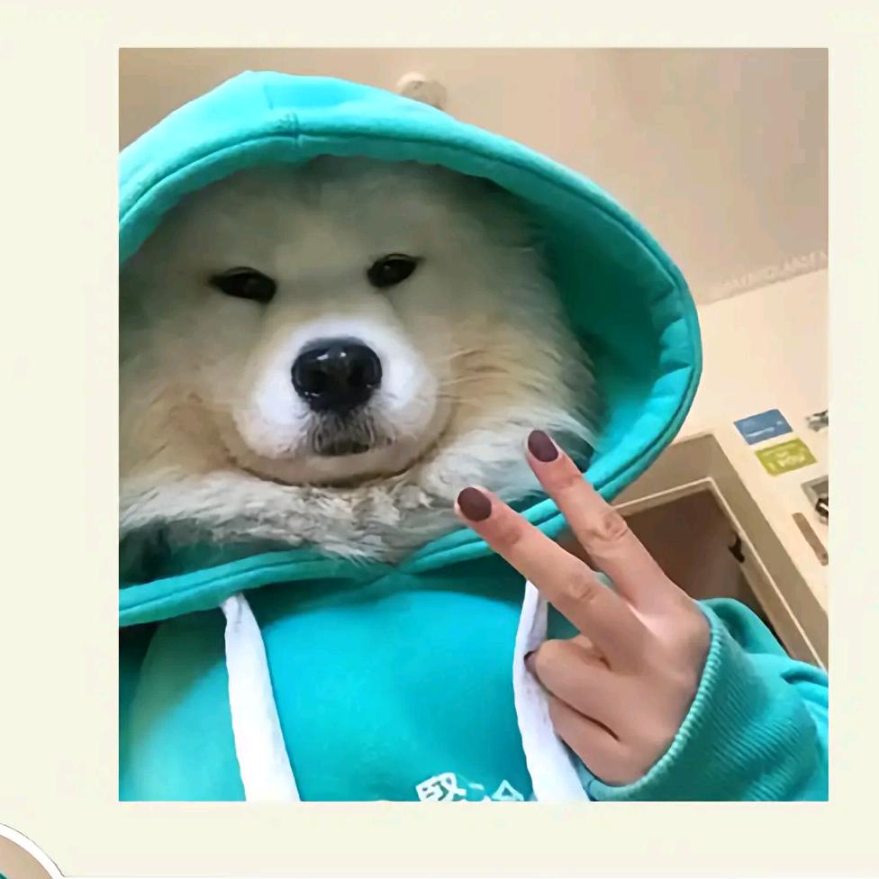 我的天，什么鬼