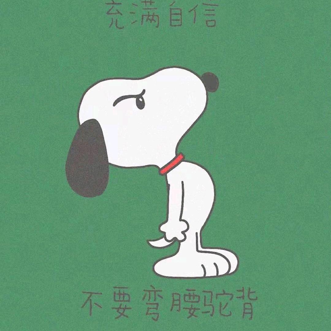 奇奇蒂蒂奇小猪