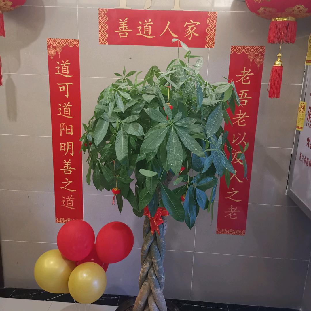 善道