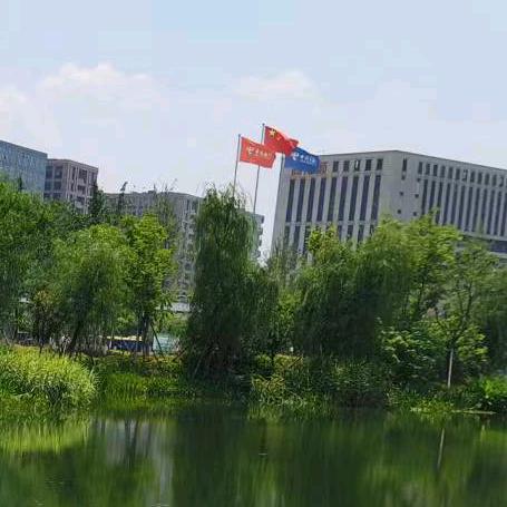 林景