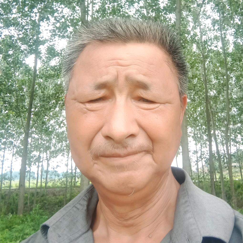 快乐每一天🌲