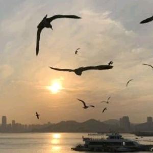 赤子之心