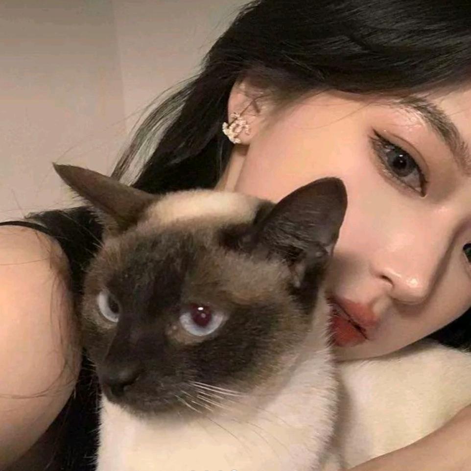 美女子.