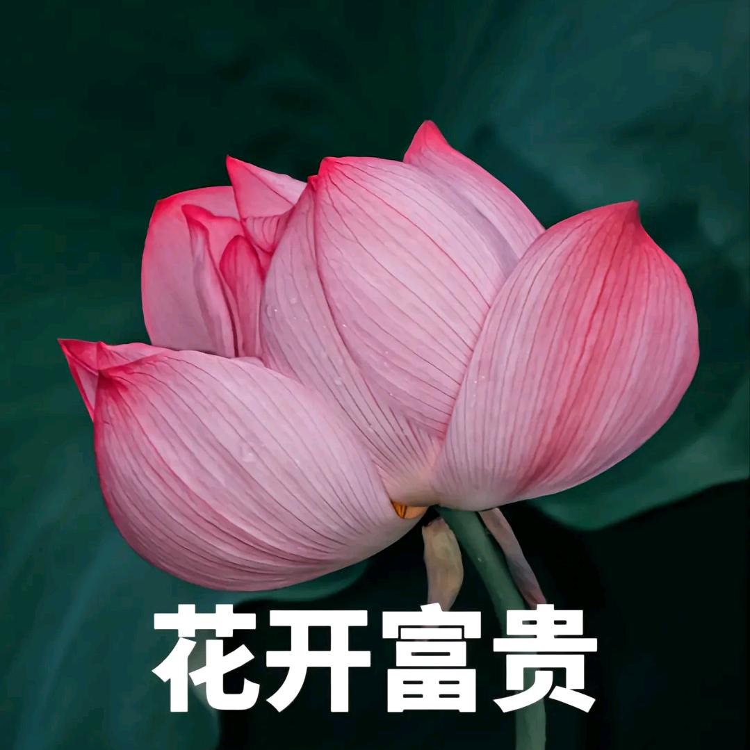 兰花指