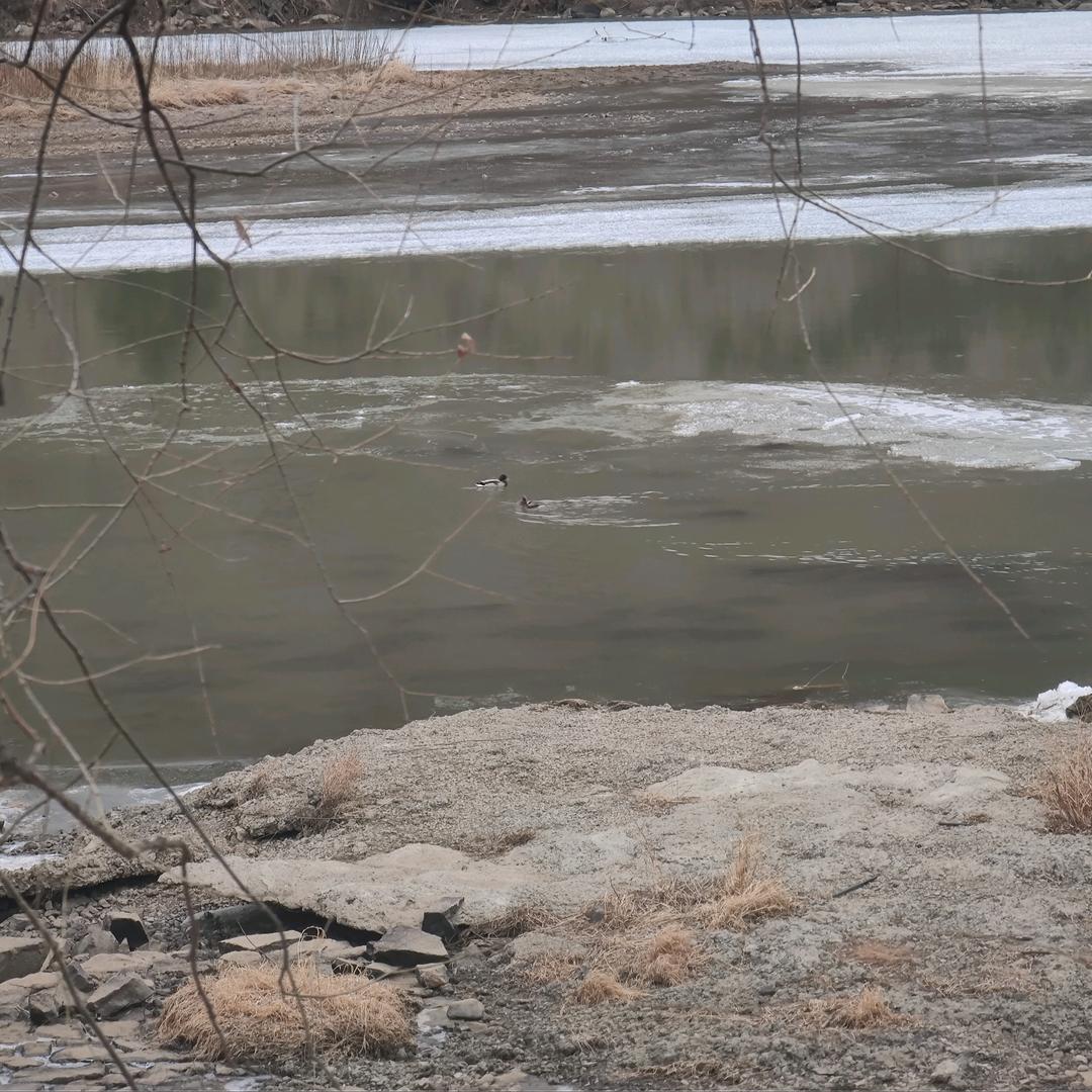 军民（旅行者3）