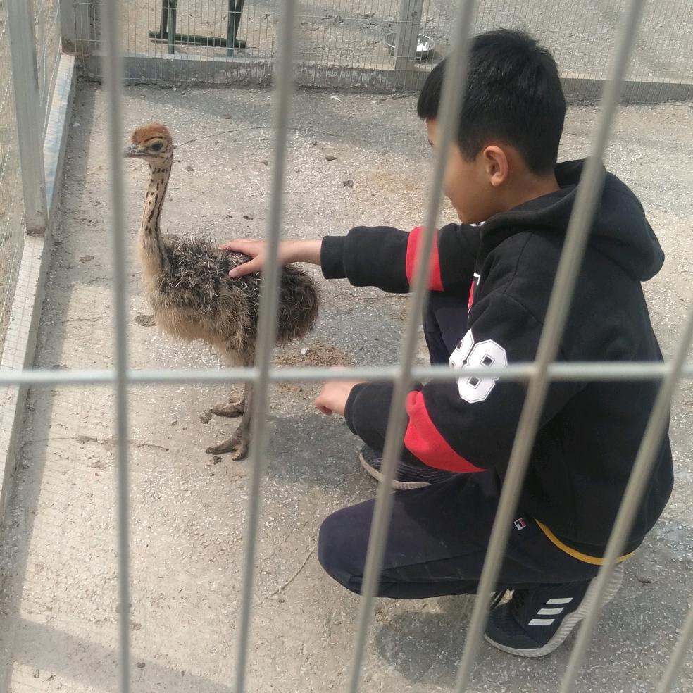 火火火