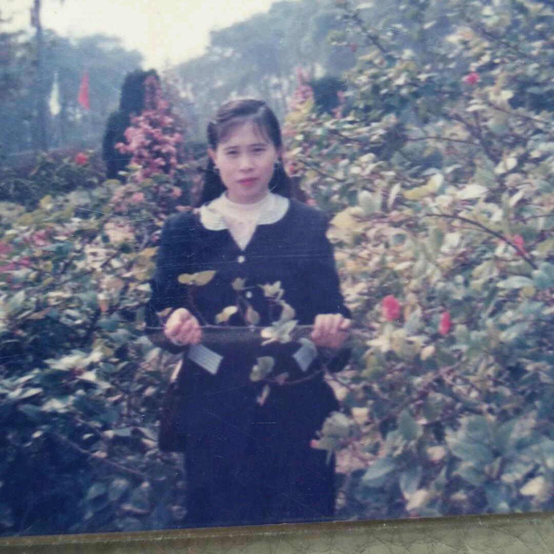 爱听黄梅戏珍珍