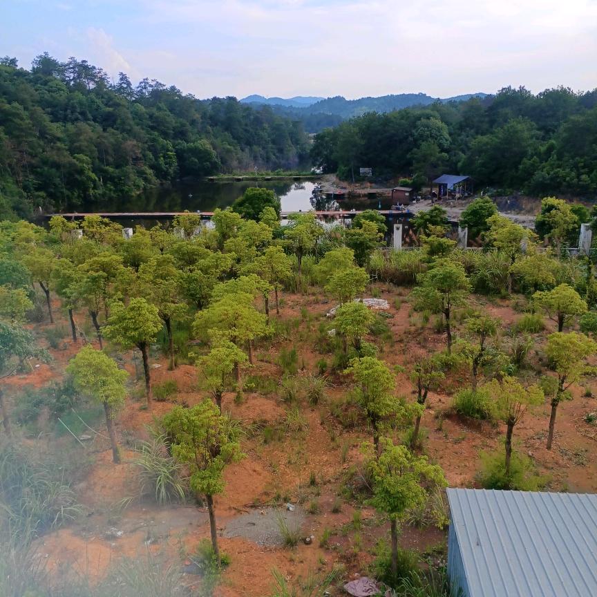 八方来财r8989072552448