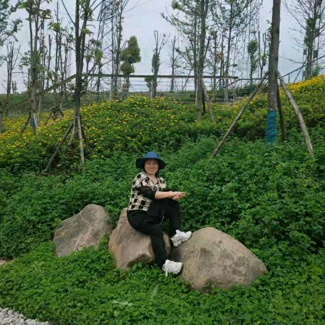 用户9582580709741木易方草