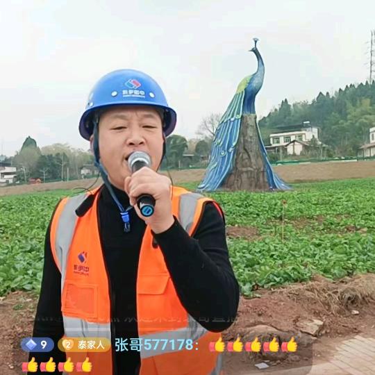 泰哥-欢乐多