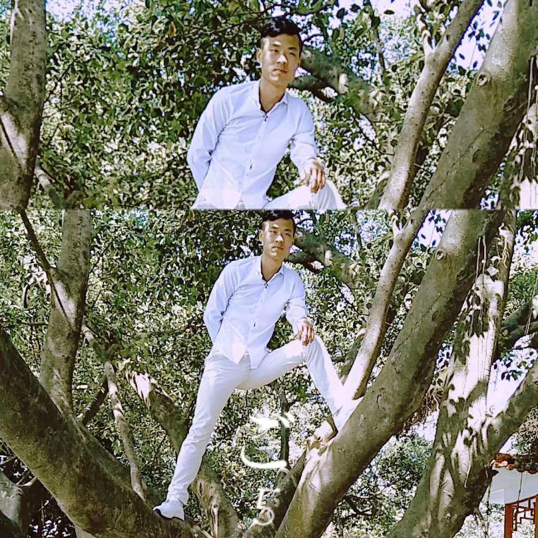 wy小王