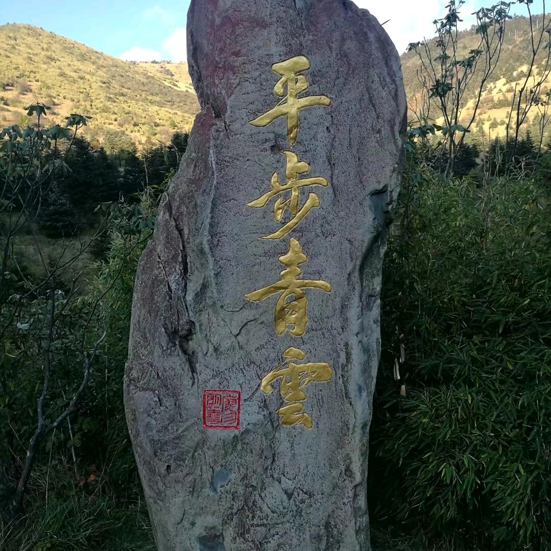 襄阳市伙牌镇，腊梅基地