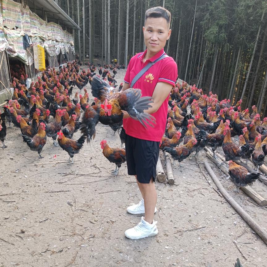 隆林求进家庭农场主