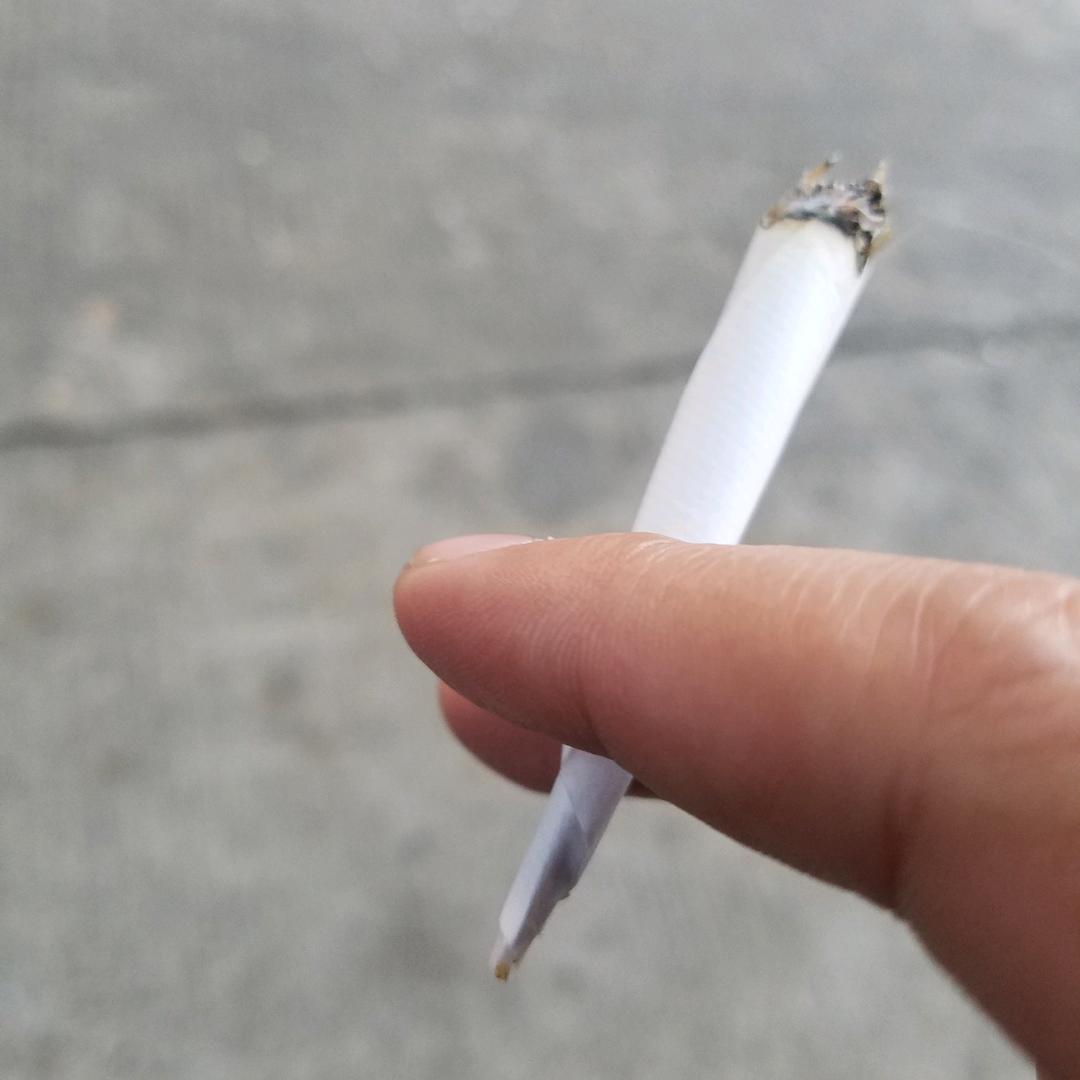 钓懒