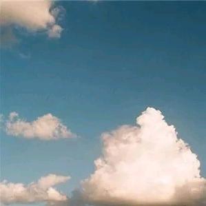 杨。