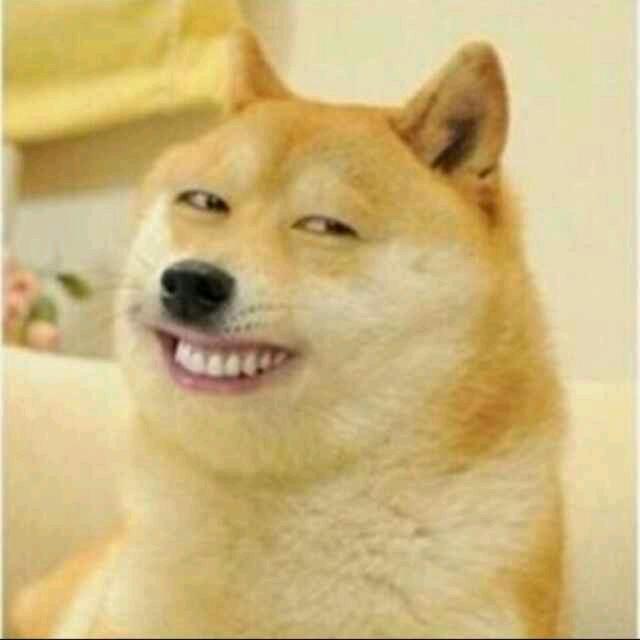 全世界吗