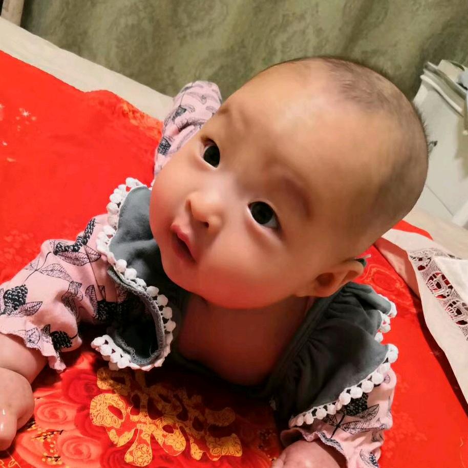 我是月嫂 张彩琴