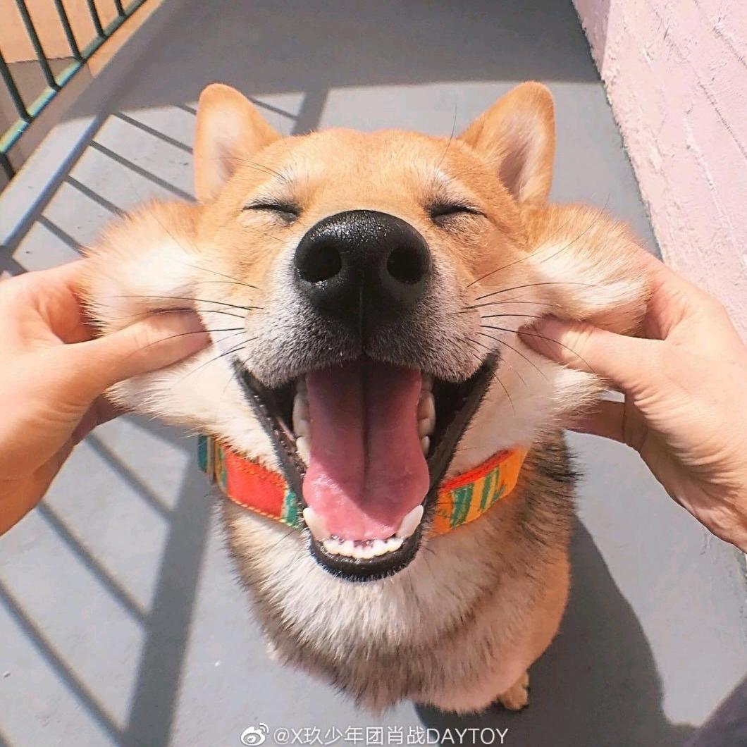 月芽儿.