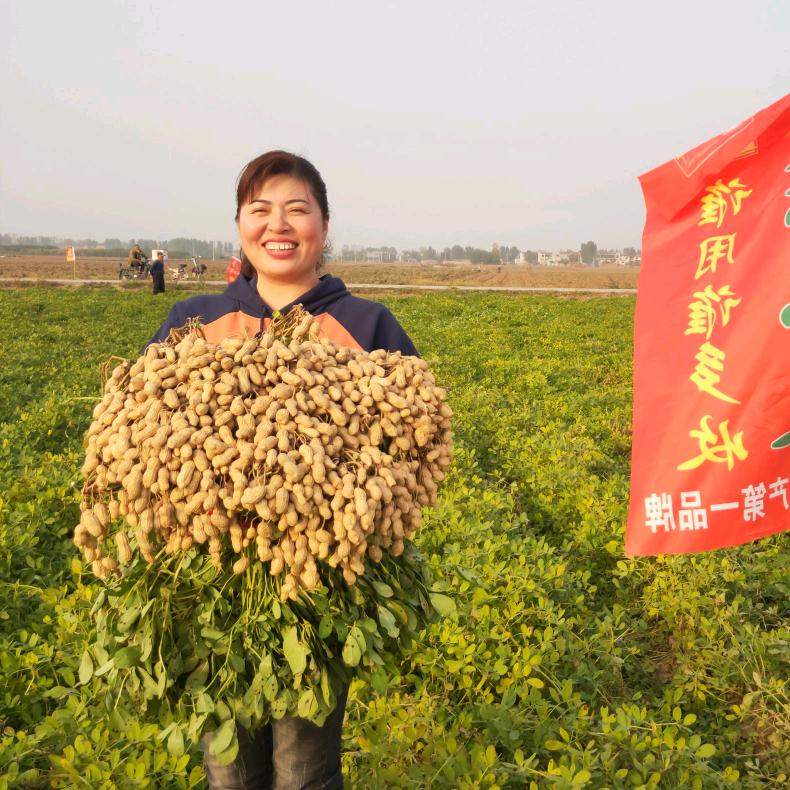 原阳县福宁集镇玉杰农资