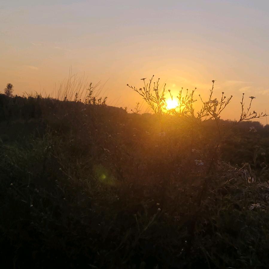 李明
