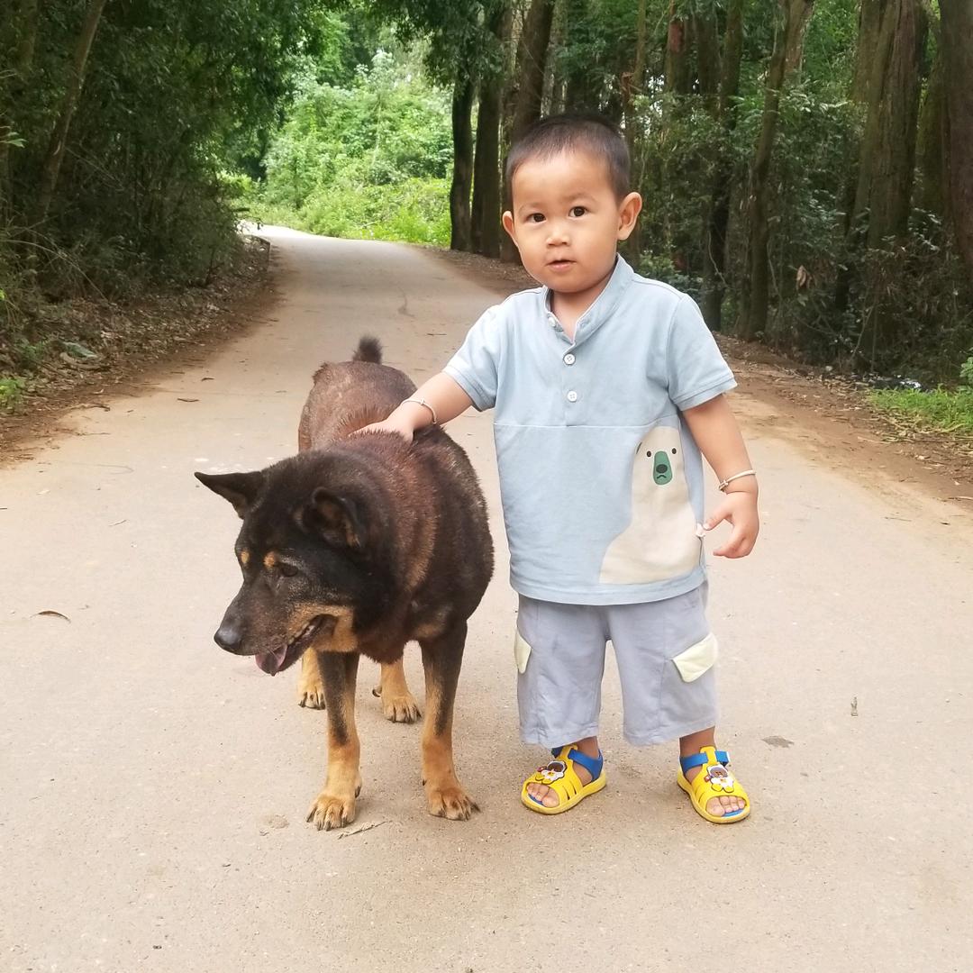 相看两无言