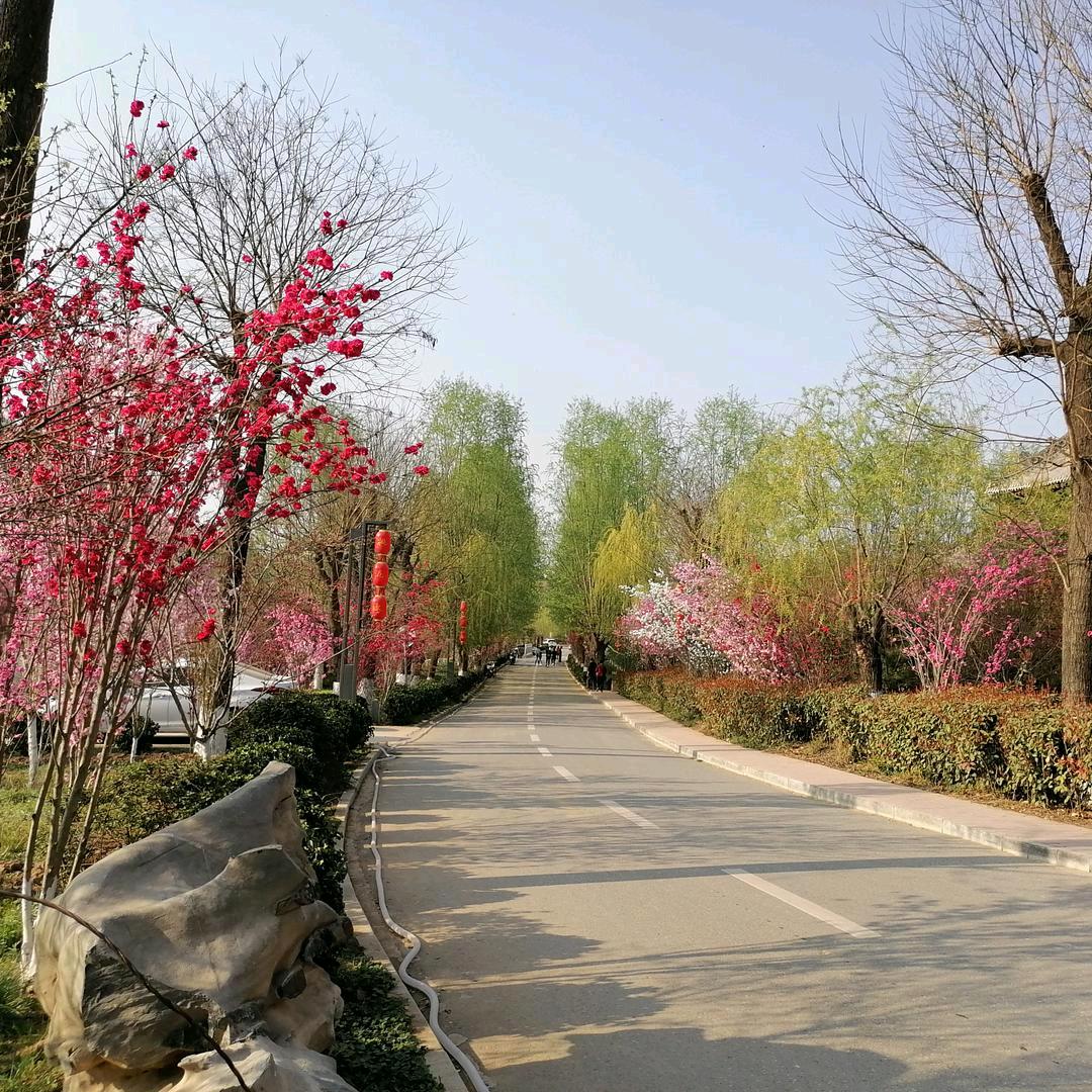 小太阳☀️☀️