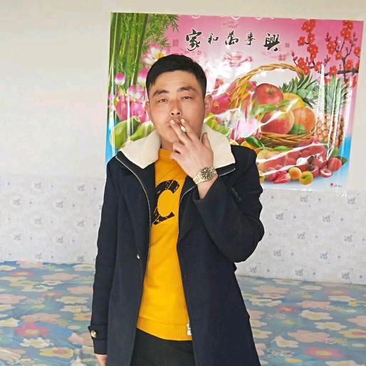 天山赵哥👑