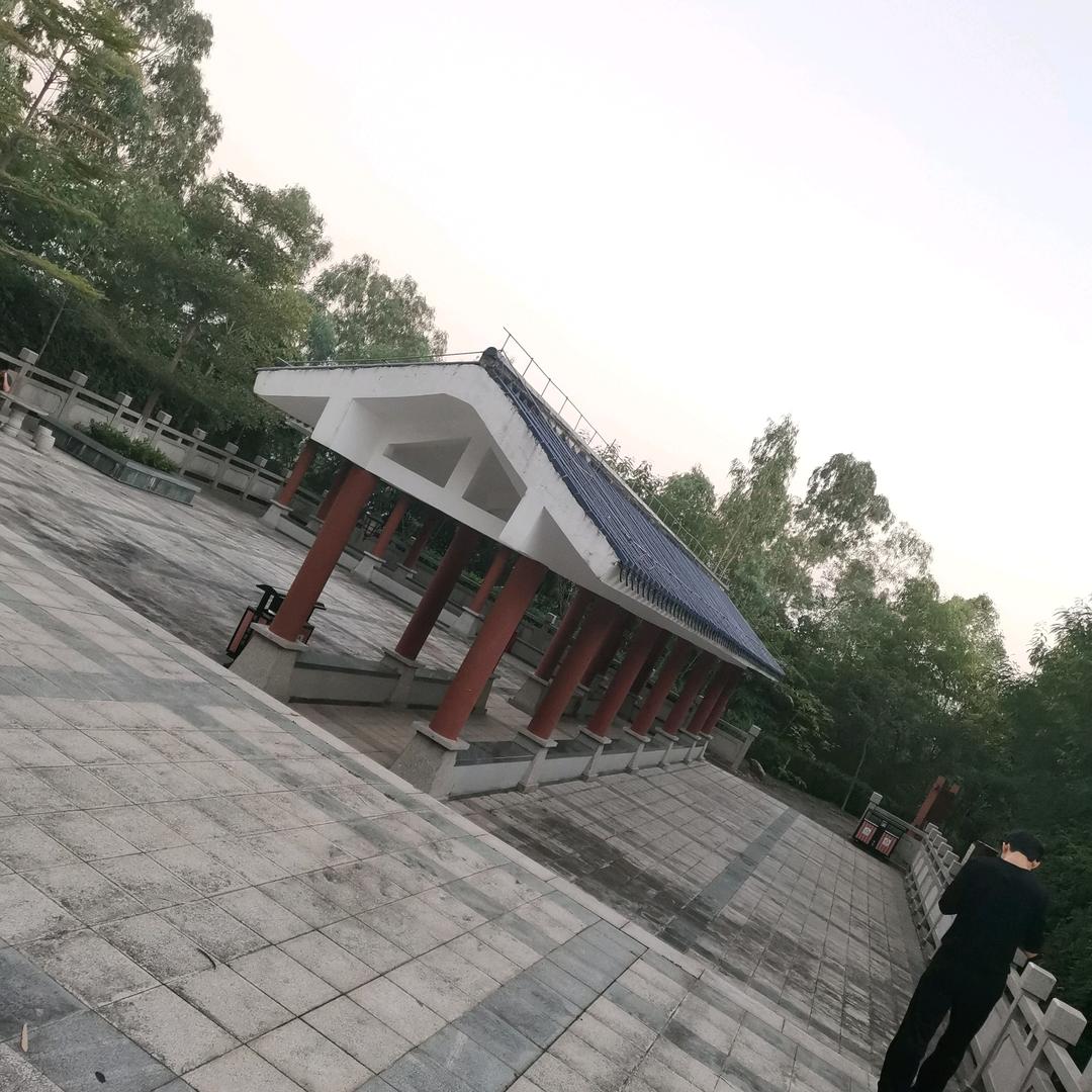 柒夏微凉