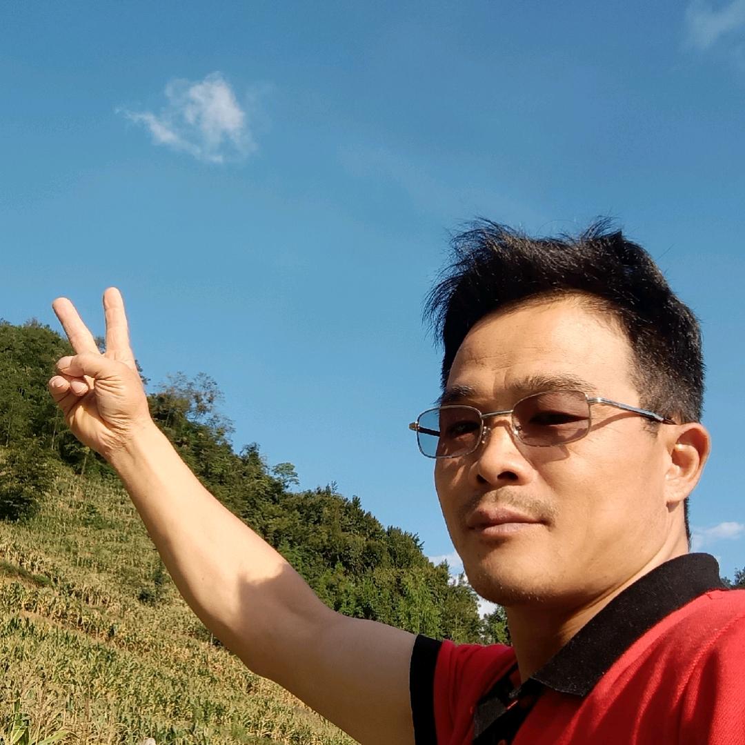 a顺其自然