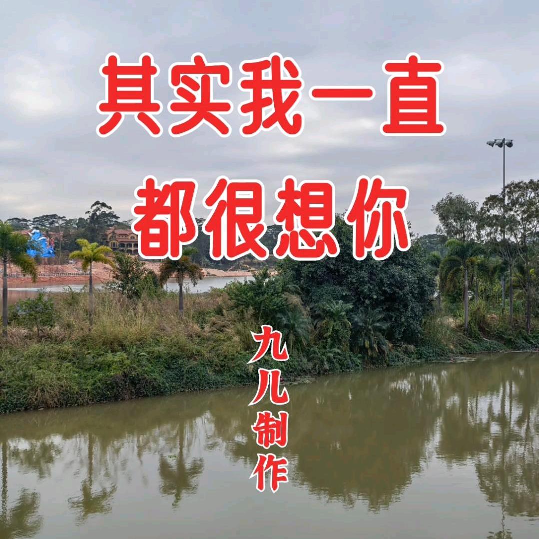 百色
