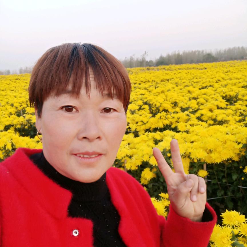蚌埠固镇红娘葛姐