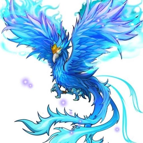 帅气小小杜