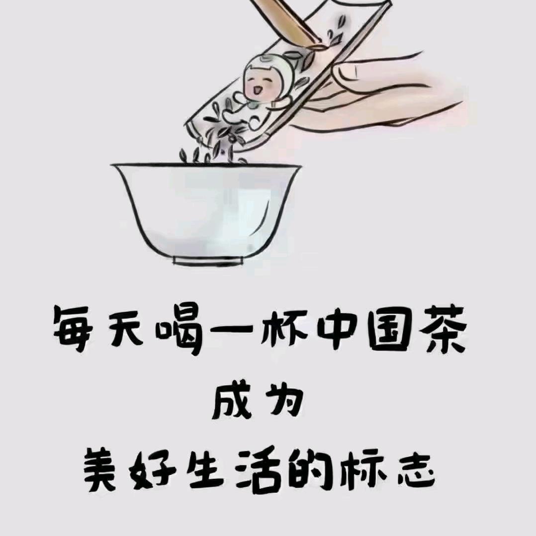 云茶茶缘🍵