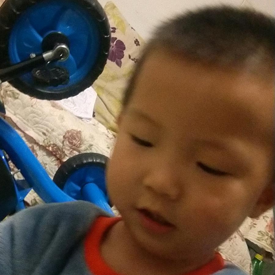 鲍鱼